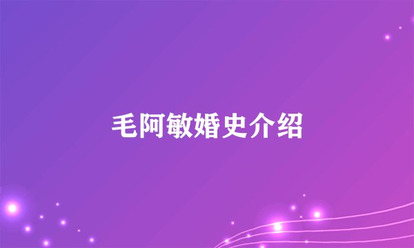 毛阿敏婚史介绍