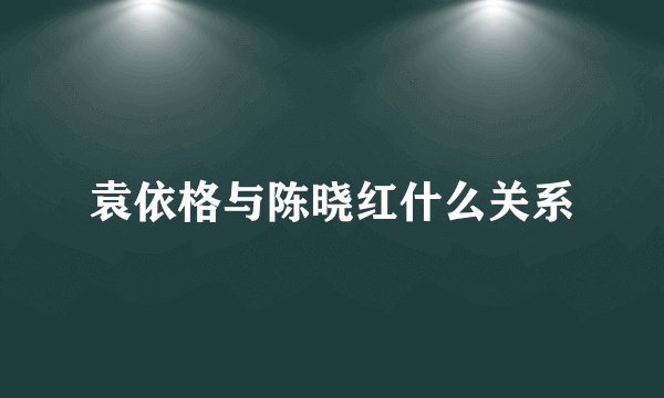袁依格与陈晓红什么关系