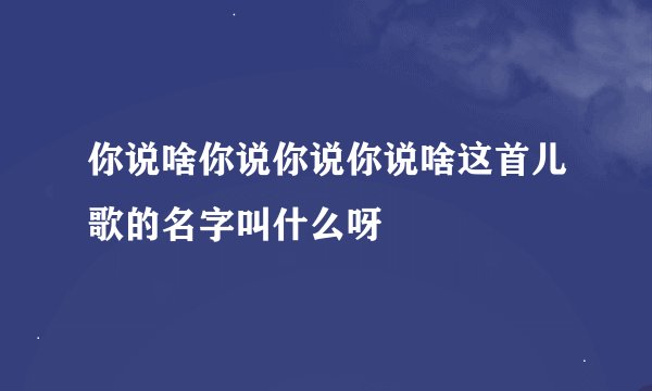 你说啥你说你说你说啥这首儿歌的名字叫什么呀