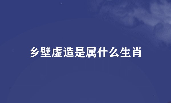 乡壁虚造是属什么生肖