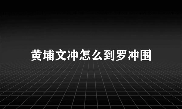 黄埔文冲怎么到罗冲围