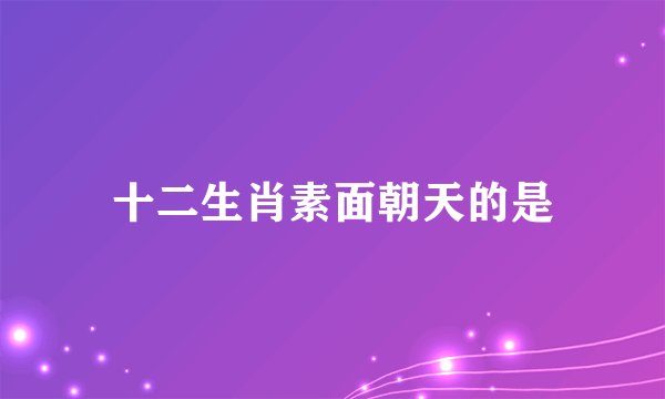 十二生肖素面朝天的是