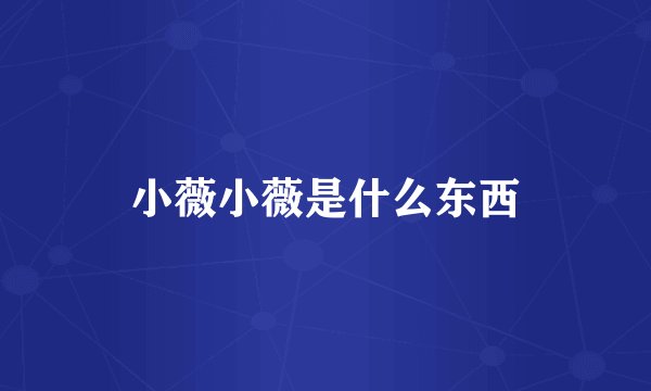 小薇小薇是什么东西