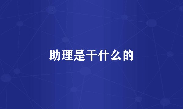 助理是干什么的