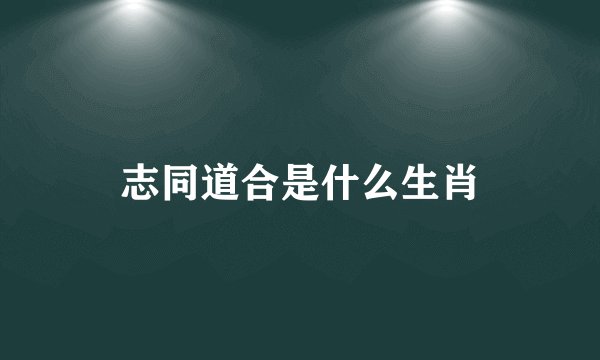 志同道合是什么生肖