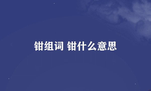 钳组词 钳什么意思