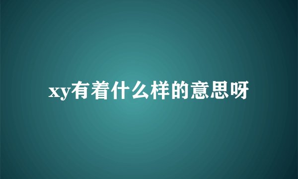 xy有着什么样的意思呀