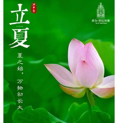 立夏热度排行榜来了,全国十大最热城市出炉,你家乡的城市在列吗?