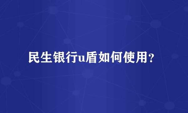 民生银行u盾如何使用？