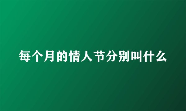 每个月的情人节分别叫什么