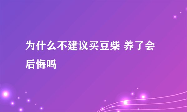 为什么不建议买豆柴 养了会后悔吗
