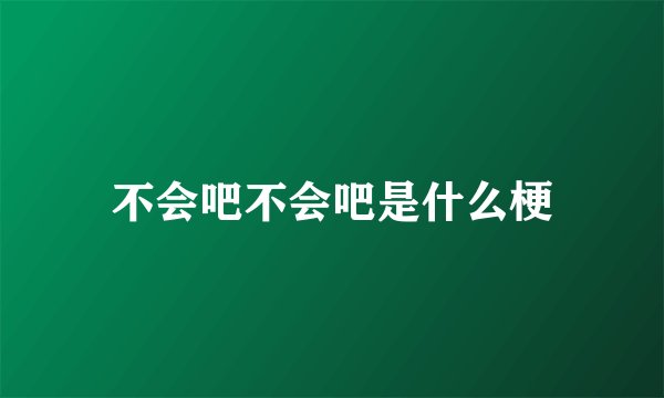 不会吧不会吧是什么梗