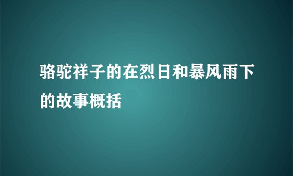 骆驼祥子的在烈日和暴风雨下的故事概括
