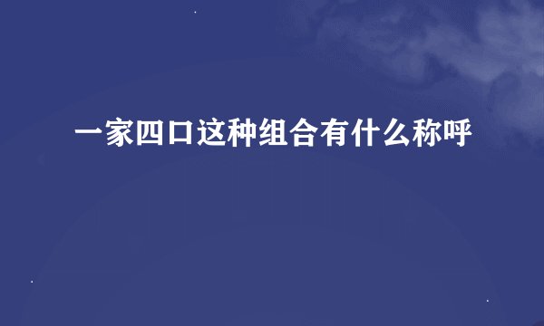 一家四口这种组合有什么称呼
