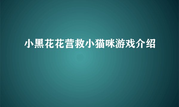 小黑花花营救小猫咪游戏介绍