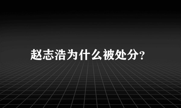 赵志浩为什么被处分？
