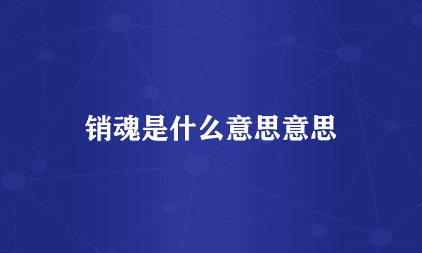 销魂是什么意思意思