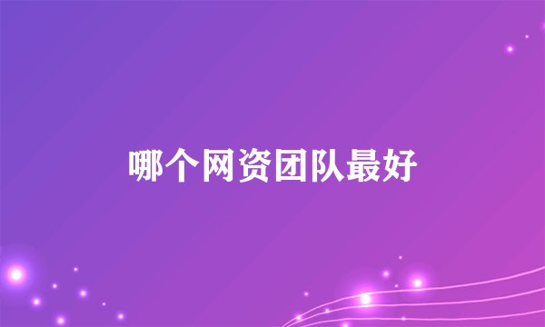 哪个网资团队最好