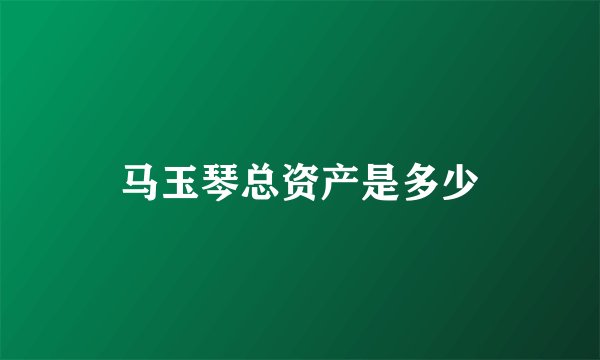 马玉琴总资产是多少