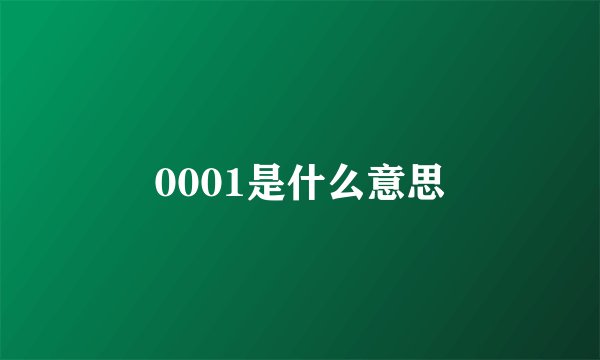 0001是什么意思