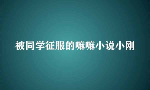 被同学征服的嘛嘛小说小刚