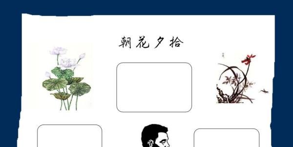 朝花夕拾手抄报内容资料