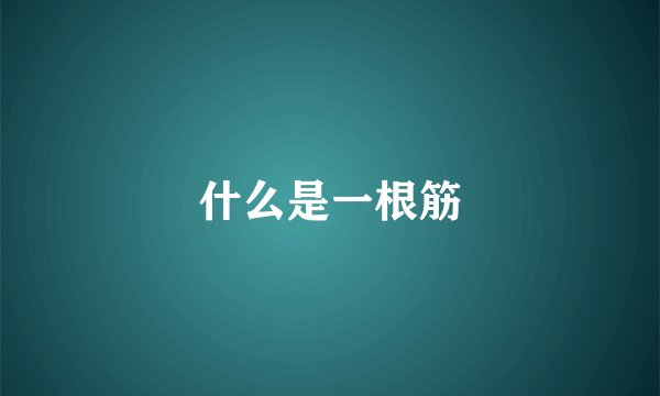 什么是一根筋