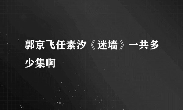 郭京飞任素汐《迷墙》一共多少集啊