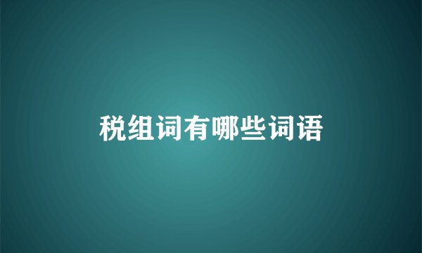 税组词有哪些词语