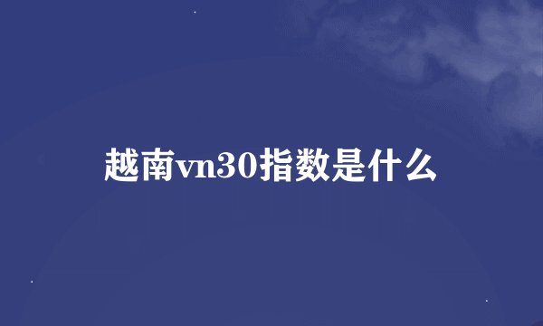 越南vn30指数是什么