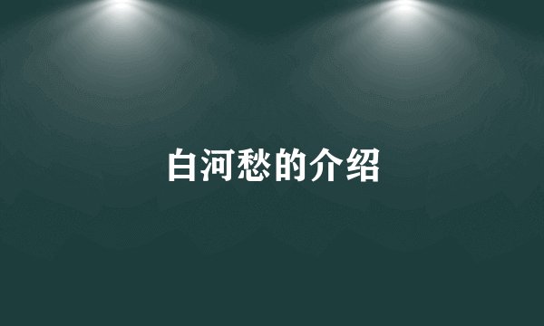 白河愁的介绍