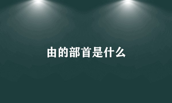 由的部首是什么