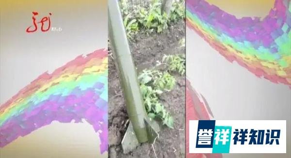 哈尔滨一居民院里，突落炮弹