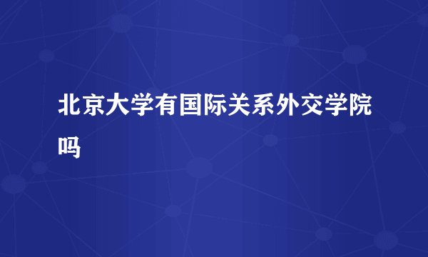 北京大学有国际关系外交学院吗