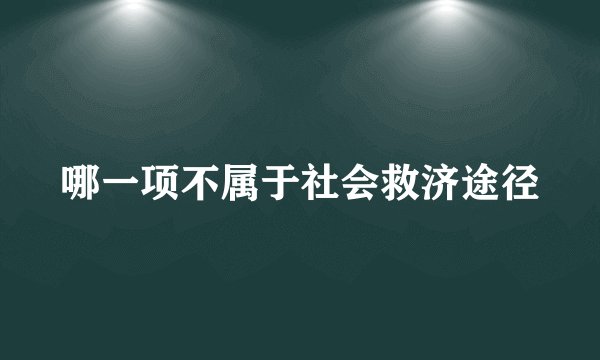 哪一项不属于社会救济途径