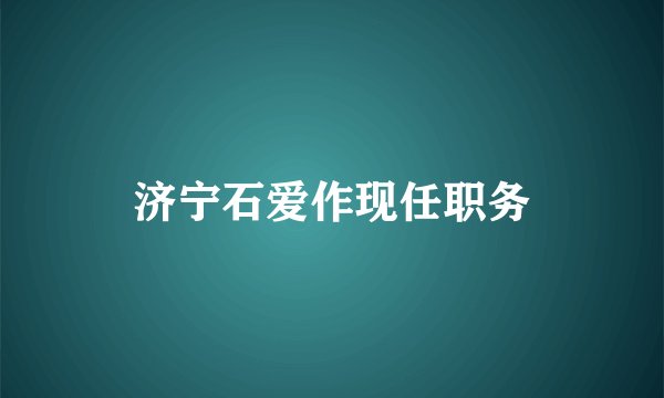 济宁石爱作现任职务