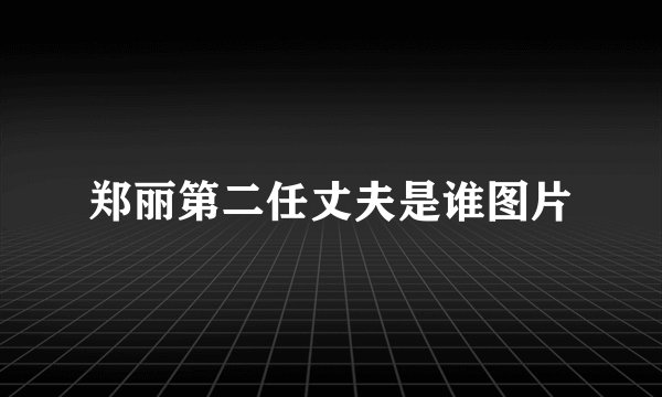 郑丽第二任丈夫是谁图片