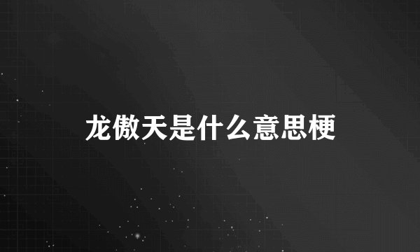 龙傲天是什么意思梗