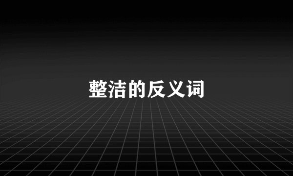 整洁的反义词