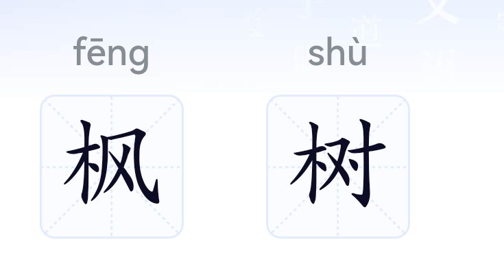 枫树的拼音怎么写