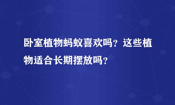 卧室植物蚂蚁喜欢吗？这些植物适合长期摆放吗？