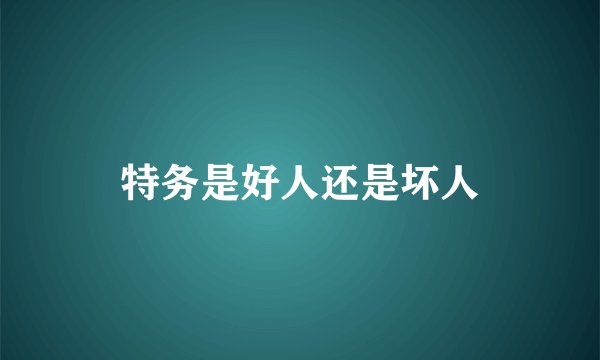 特务是好人还是坏人