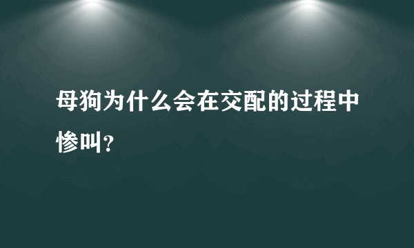 母狗为什么会在交配的过程中惨叫？