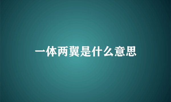 一体两翼是什么意思