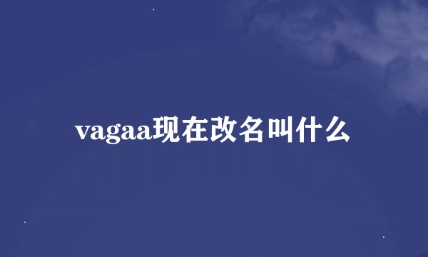 vagaa现在改名叫什么