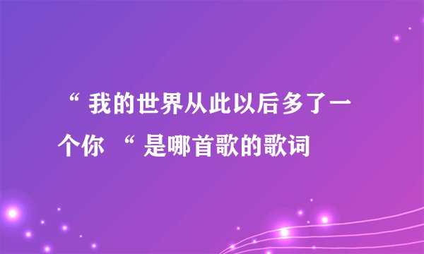 “ 我的世界从此以后多了一个你 “ 是哪首歌的歌词