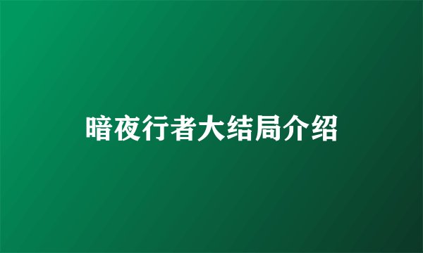 暗夜行者大结局介绍