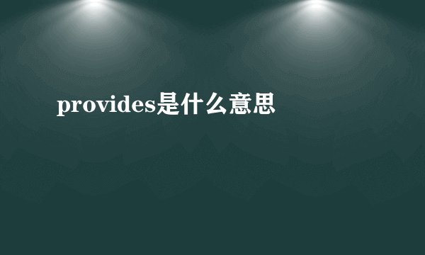 provides是什么意思