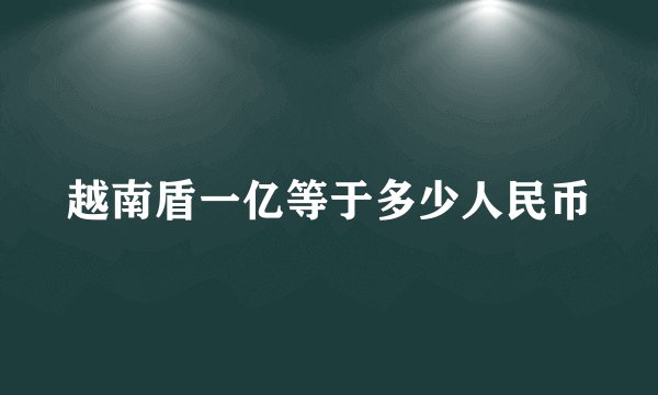 越南盾一亿等于多少人民币
