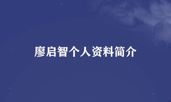 廖启智个人资料简介